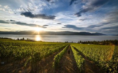 Forbes – Luxurious Transportation in the Okanagan