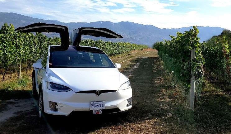 Current Taxi - our Tesla Model X in a sunny vineyard